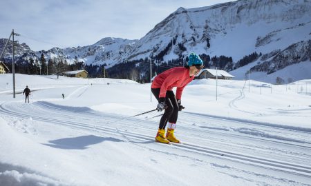 Skiing Movement